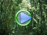 Sustainable forests video